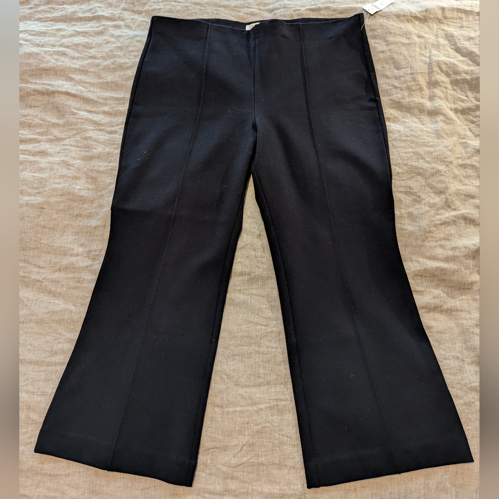 XL Petite Maeve brand wide leg pants